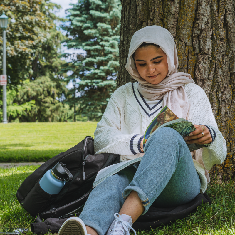 A young woman wearing a hijab studies under a tree.